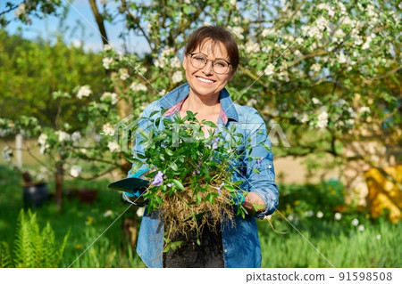 Beautiful middle aged woman with rooted Periwinkle plant looking at camera Beautiful middle aged woman with rooted Periwinkle plant looking at camera 91598508
