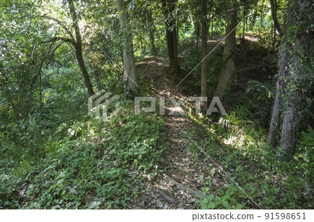 松山城跡久堀[國家史蹟/比木城跡] / 埼玉縣比木郡吉見町 91598651