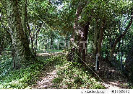 松山城跡二乃來和入口[國家史蹟/比木城跡]/埼玉縣比木區吉見町 91598652
