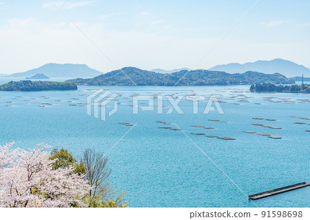 Scenery in Setouchi, somewhere in Higashi-Hiroshima City, Hiroshima Prefecture (spring image) 91598698