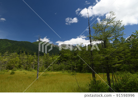 Kamikochi Tashiroike and Hotaka Kamikochi Tashiroike and Hotaka 91598996