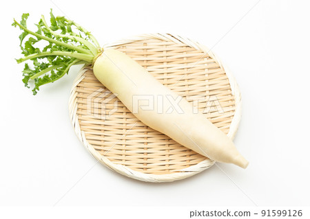 白蘿蔔白背 白蘿蔔白背 91599126