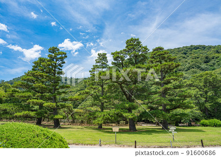 [Takamatsu City] Ritsurin Garden Hand Uematsu 91600686