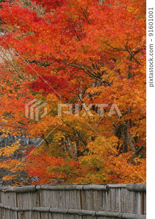 Autumn leaves 91601001