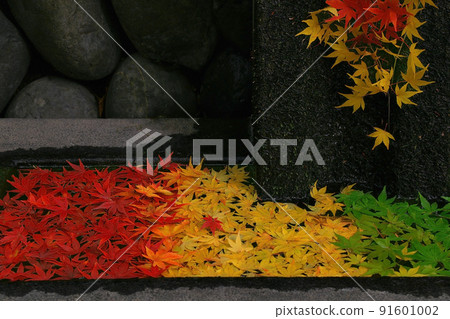 Autumn leaves 91601002