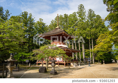 [和歌山縣] 近藤 91601203