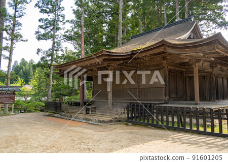 [Wakayama Prefecture] Kondo 91601205