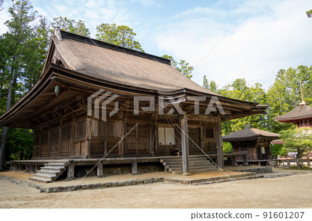 [和歌山縣] 近藤 91601207