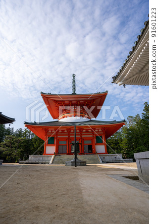 [Wakayama Prefecture] Kondo 91601223