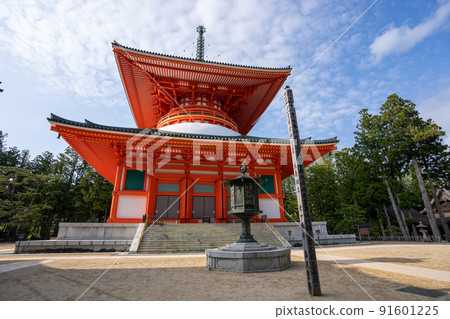 [和歌山縣] 近藤 91601225