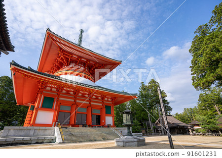 [Wakayama Prefecture] Kondo 91601231
