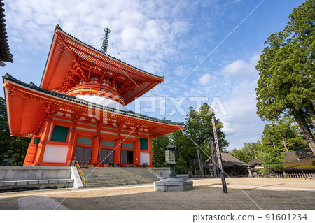 [Wakayama Prefecture] Kondo 91601234