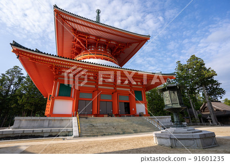 [Wakayama Prefecture] Kondo 91601235