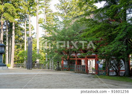 [Wakayama Prefecture] Kondo 91601256