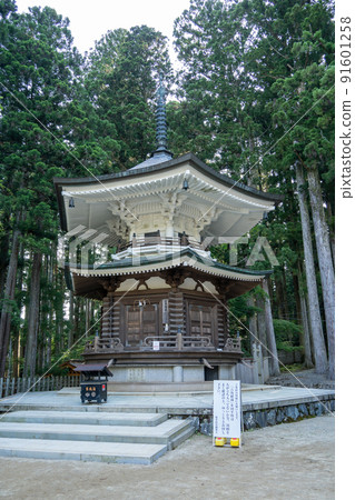[Wakayama Prefecture] Kondo 91601258