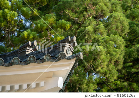 [Wakayama Prefecture] Kondo 91601262