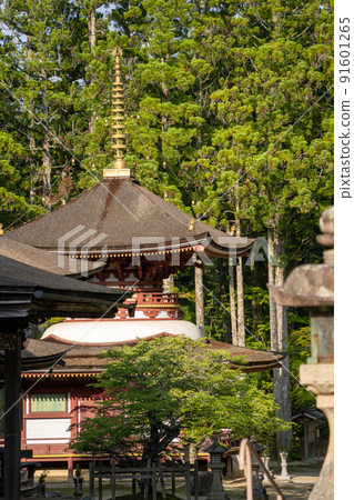 [Wakayama Prefecture] Kondo 91601265