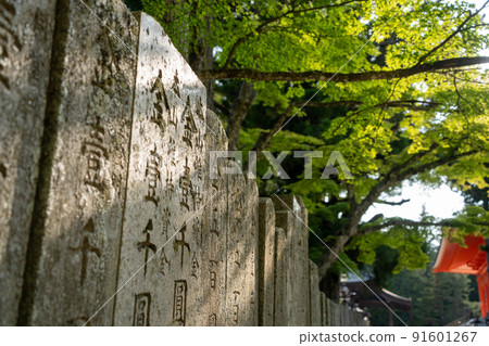 [Wakayama Prefecture] Kondo 91601267