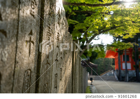 [Wakayama Prefecture] Kondo 91601268