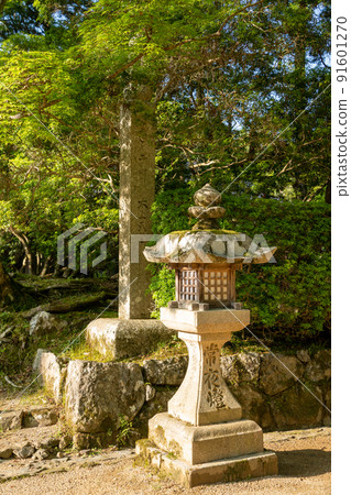 [Wakayama Prefecture] Kondo 91601270