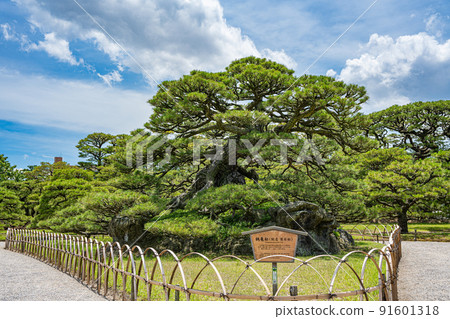 [高松市]栗林庭園鶴目松 91601318