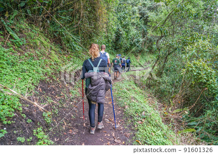 薩爾坎泰徒步旅行 91601326