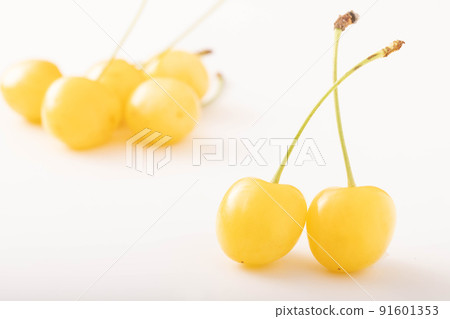 << Yamagata Prefecture >> Cherry Gassan Nishiki 91601353