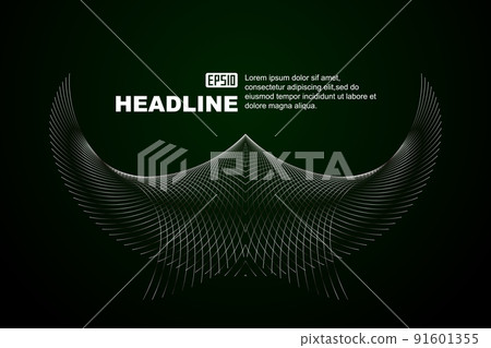 黑灰金屬銀質感翼囊飛行線千條抽像圖形。 黑灰金屬銀質感翼囊飛行線千條抽像圖形。 91601355