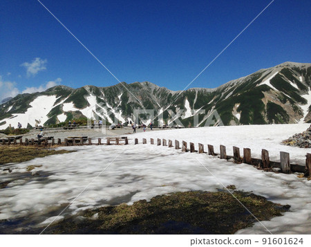 立山黑部的雪山 91601624