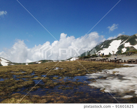 立山黑部的雪山 91601625