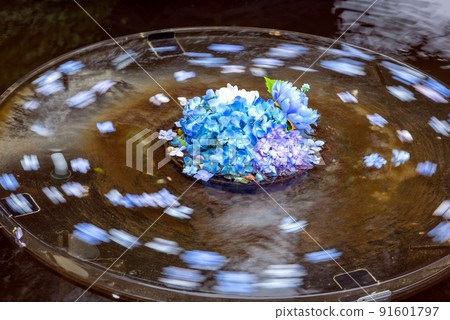 Rotating hydrangea 91601797