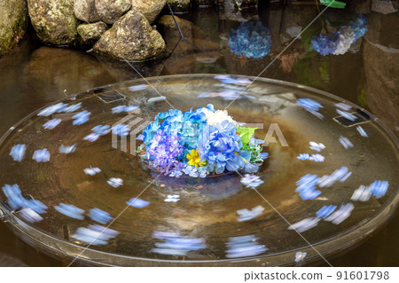 旋轉繡球 旋轉繡球 91601798