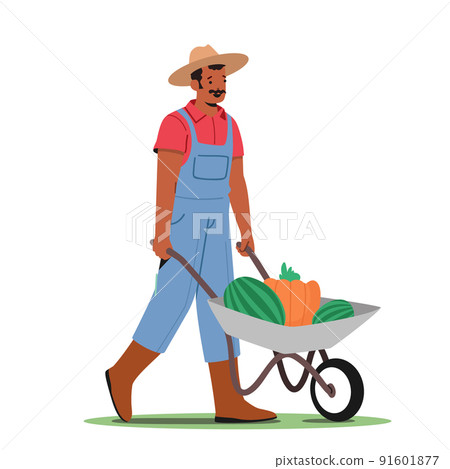 Man Pick Harvest to Wheelbarrow in Orchard. Gardener Character Seasonal Work on Farm. Farmer Harvesting Ripe Fruits Man Pick Harvest to Wheelbarrow in Orchard. Gardener Character Seasonal Work on Farm. Farmer Harvesting Ripe Fruits 91601877