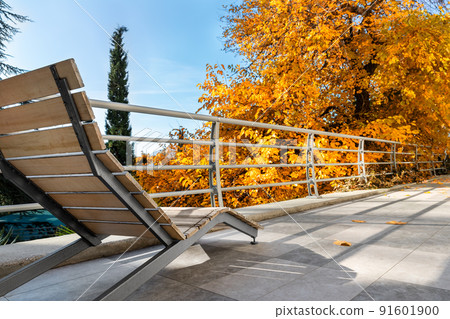 Close view of modern wooden empty lounger chair on patio balcony terrace against bright yellow orange autumn tree and blue sky. Fall season vacation and travel concept 91601900