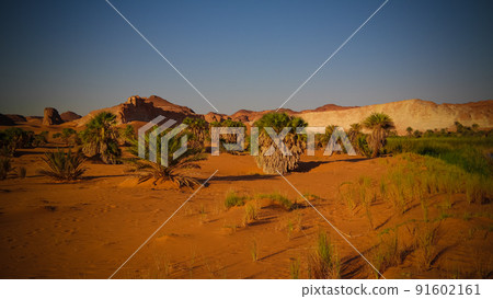 Panoramic view to Boukkou lake group of Ounianga Serir lakes at the Ennedi, Chad 91602161