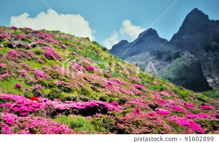 Sensuikyo Gorge (Aso) in early summer Sensuikyo Gorge (Aso) in early summer 91602899
