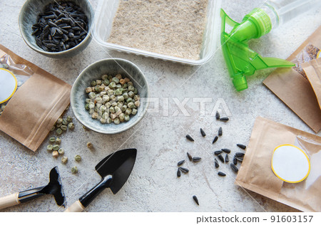 Microgreen seeds in paper bags and equipment for sowing microgreens. 91603157