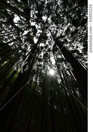 從瀧山脈 從瀧山脈 91603228