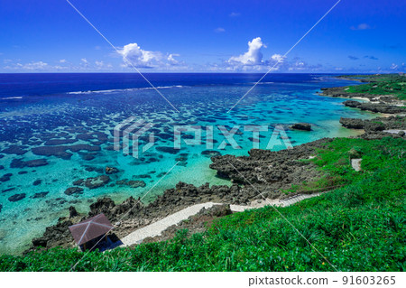 英格海洋花園（宮古島） 91603265