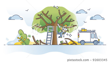Arborist as professional tree cutting or pruning occupation outline concept 91603345