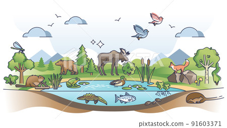 Natural Ecosystems With Wildlife Stock Illustration - Download