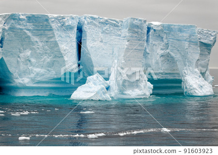 Antartica - Tabular Iceberg in Bransfield Strait 91603923