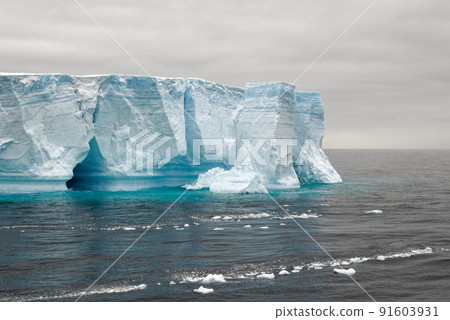 Antartica - Tabular Iceberg in Bransfield Strait Antartica - Tabular Iceberg in Bransfield Strait 91603931