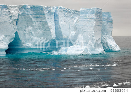 Antartica - Tabular Iceberg in Bransfield Strait Antartica - Tabular Iceberg in Bransfield Strait 91603934