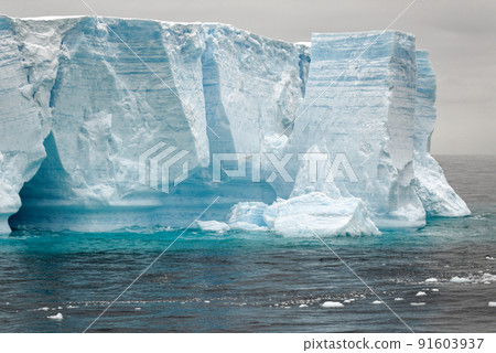 Antartica - Tabular Iceberg in Bransfield Strait Antartica - Tabular Iceberg in Bransfield Strait 91603937