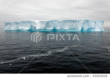 Antartica - Tabular Iceberg in Bransfield Strait 91603938