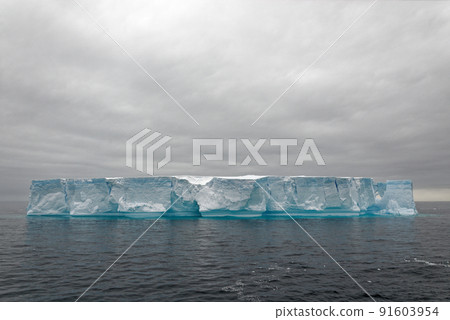 Antartica - Tabular Iceberg in Bransfield Strait Antartica - Tabular Iceberg in Bransfield Strait 91603954