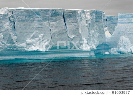 Antartica - Tabular Iceberg in Bransfield Strait Antartica - Tabular Iceberg in Bransfield Strait 91603957