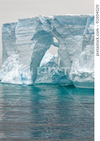 Antartica - Tabular Iceberg in Bransfield Strait Antartica - Tabular Iceberg in Bransfield Strait 91604020