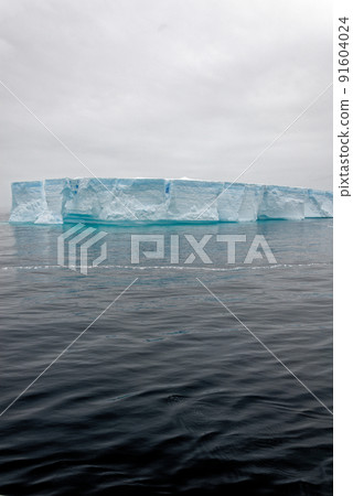 Antartica - Tabular Iceberg in Bransfield Strait Antartica - Tabular Iceberg in Bransfield Strait 91604024